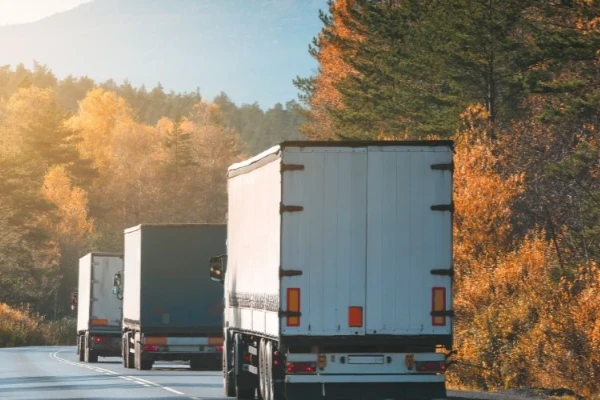 Bursa Gölhisar Nakliyat